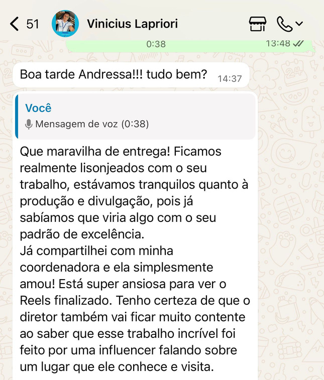 Mensagem de Vinicius Lapriori: Que maravilha de entrega! Ficamos realmente lisonjeados com o seu trabalho.